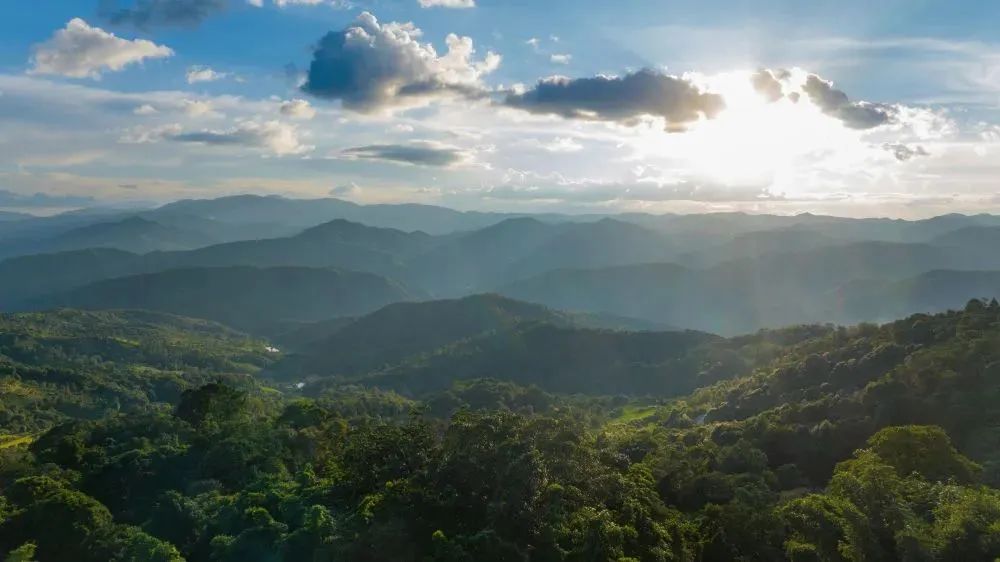 这是2023年9月16日拍摄的日落时分的云南普洱景迈山风光(无人机照片)。新华社记者 胡超 摄.jpg